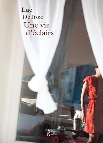 Une vie d'éclairs récits