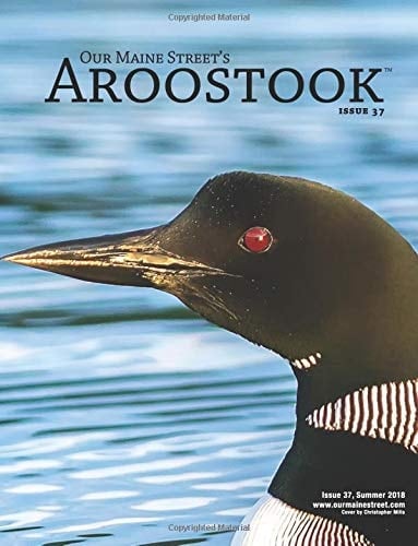 Our Maine Street's Aroostook Issue 37