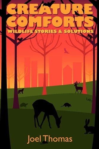 Creature Comforts Wildlife Stories and Solutions