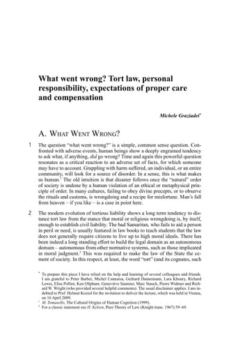 European Tort Law 2008