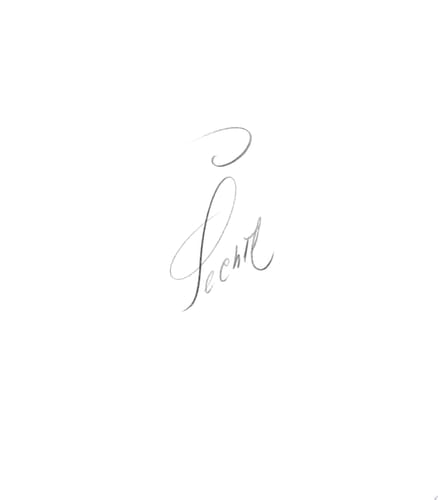 Josef Jindřich Šechtl deník fotografa, 1928-1954