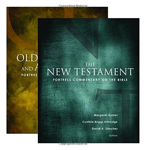 Fortress Commentary on the Bible Two Volume Set