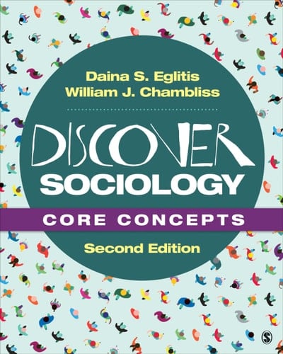 Discover Sociology Core Concepts