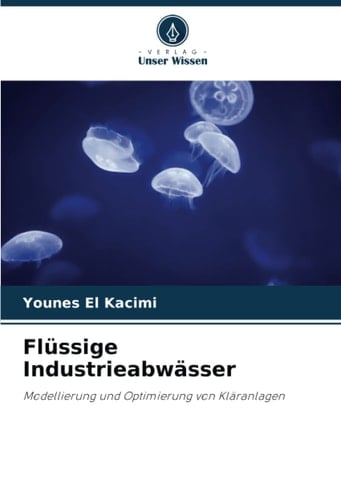 Flüssige Industrieabwässer: Modellierung und Optimierung von Kläranlagen (German Edition)
