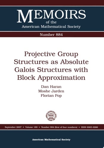 Projective Group Structures as Absolute Galois Structures with Block Approximation
