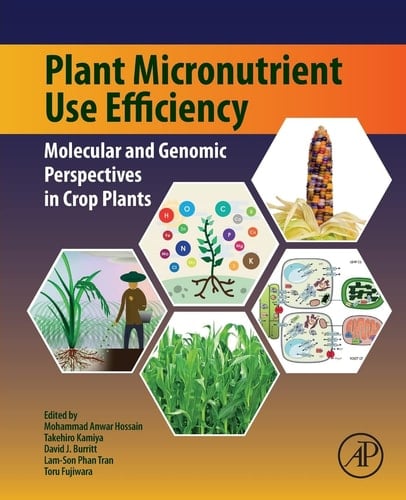 Plant Micronutrient Use Efficiency Molecular and Genomic Perspectives in Crop Plants
