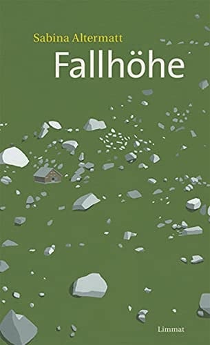 Fallhöhe: Roman