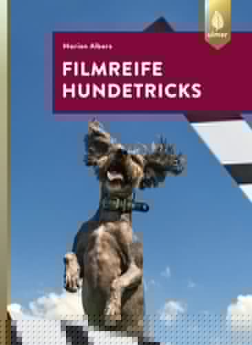Filmreife Hundetricks Tricktraining - nicht nur für angehende Filmhunde