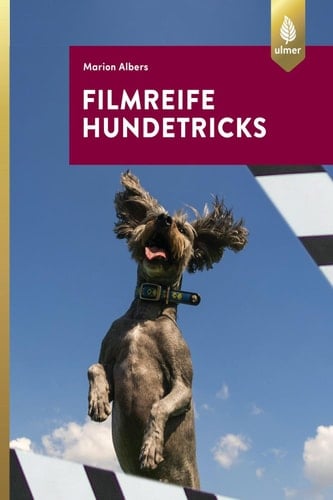 Filmreife Hundetricks Tricktraining – nicht nur für angehende Filmhunde