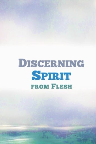 DISCERNING SPIRIT and Flesh Bible Studies