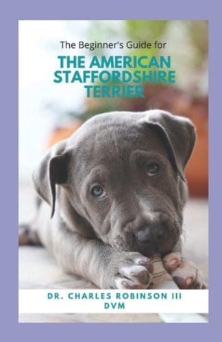 The Beginner's Guide for The American Staffordshire Terrier
