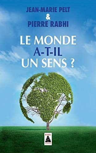 Le monde a-t-il un sens ? essai