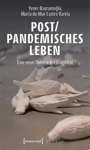 Post/pandemisches Leben Eine neue Theorie der Fragilität