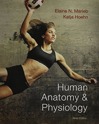 Human Anatomy & Physiology