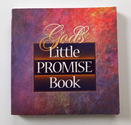 God's Little Promise Book