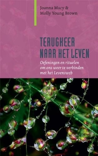 Terugkeer naar het leven oefeningen en rituelen om ons weer te verbinden met het levensweb