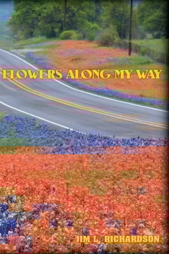 Flowers Along My Way