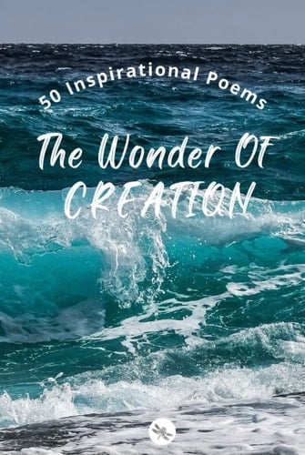 DRAGONFLY Edition: 50 Inspirational Poems | The Wonder Of CREATION | Vol 6 | HARDCOVER 6 x 9 inches
