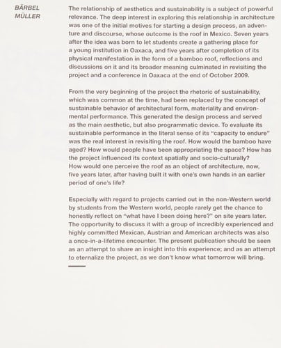 The Mexican Roof Revisited (Techo en Mexico 2)