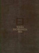 Wielka encyklopedia PWN Tom 6: Wielka encyklopedia PWN T.6 (Polish Edition)
