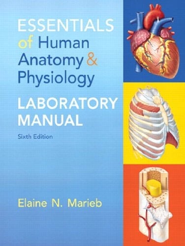Essentials of Human Anatomy & Physiology Laboratory Manual (2-downloads)
