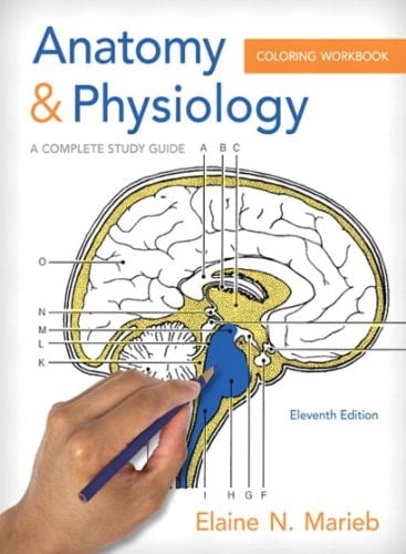 Anatomy and Physiology Coloring Workbook: A Complete Study Guide (2-downloads)