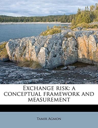 Exchange risk: a conceptual framework and measurement