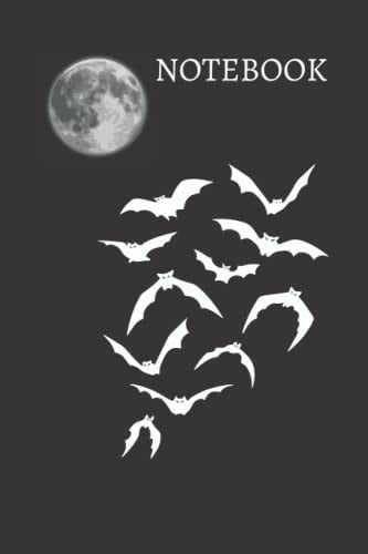 Notebook: Carnet ligné / Ruled notebook 12.700 × 9.25 inches