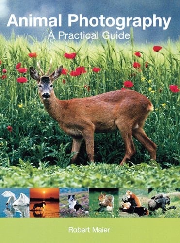 Animal Photography A Practical Guide