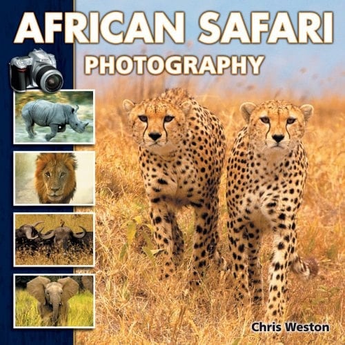 African Safari Photography