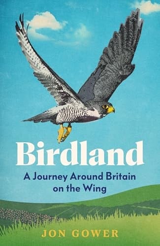 Birdland: a Journey Around Britain on the Wing