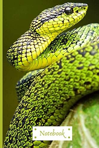 Snake-themed Notebook: Wide-lined, 120 page notebook with positive quote and snake colouring page | fun for older kids and adults, boys or girls, back to school or home schooled