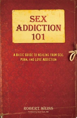 Sex Addiction 101 A Basic Guide to Healing from Sex, Porn, and Love Addiction