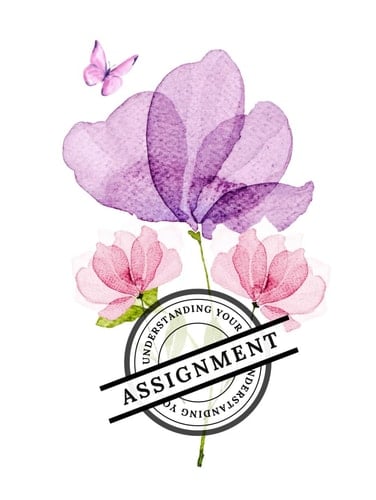 Understanding Your Assignment