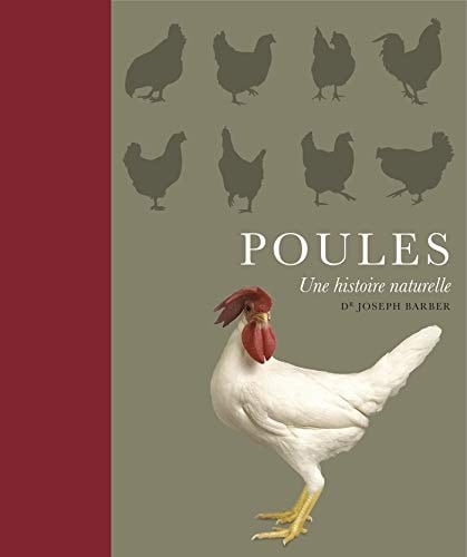 Poules Une histoire naturelle