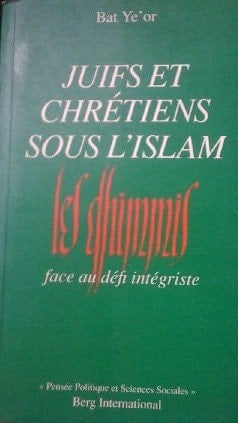 Juifs et chrétiens sous l'Islam: Les dhimmis face au défi intégriste (Pensée politique et sciences sociales) (French Edition)