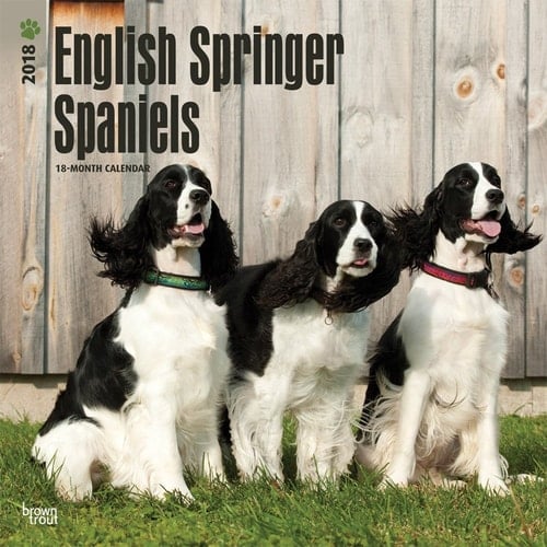 English Springer Spaniels 2018 Calendar