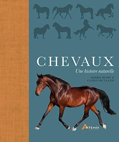 Chevaux Une histoire naturelle