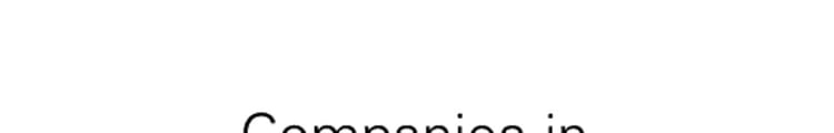 Companies In 2004-2005 Report for the Year Ended 31 March 2005