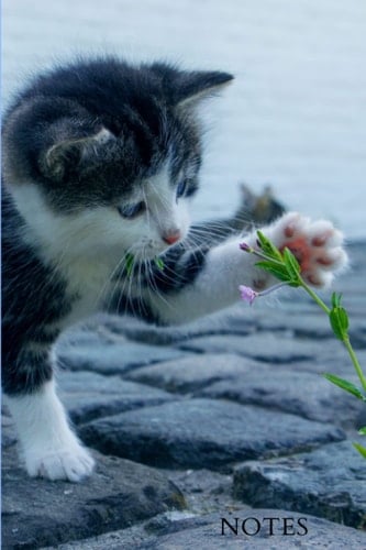 Notes: Cahier ligné idéal pour les amoureux de chats et chatons (French Edition)