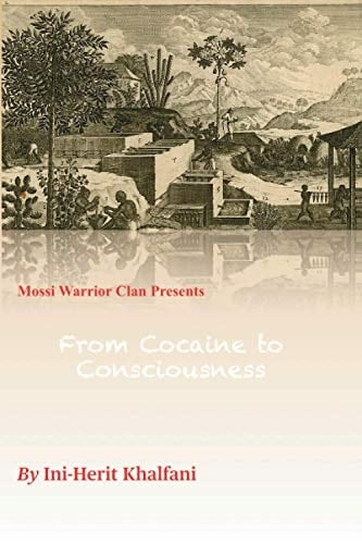 From Cocaine to Consciousness