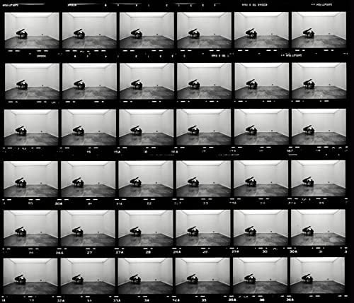 Ugo Mulas vitalità del negativo