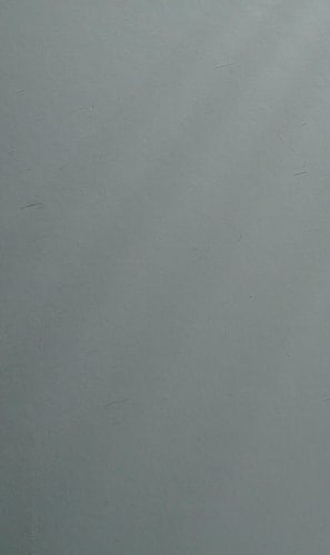 Holocaust Survivors in Postwar Germany, 1945-1957