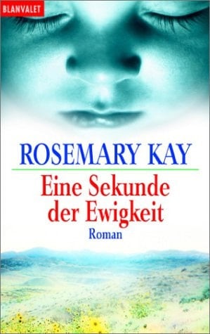 Eine Sekunde der Ewigkeit Roman