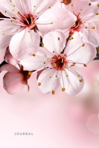 Blossom Journal: 6 x 9" Notebook to Write In with 120 Lined College Ruled Pages and a Floral Cover