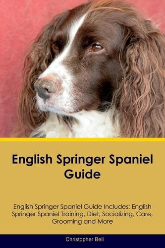 English Springer Spaniel Guide English Springer Spaniel Guide Includes: English Springer Spaniel Training, Diet, Socializing, Care, Grooming, Breeding and More