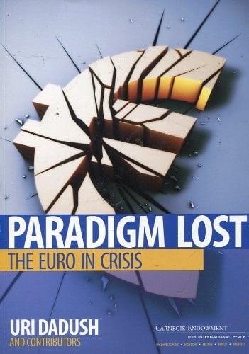 Paradigm Lost: The Euro in Crisis