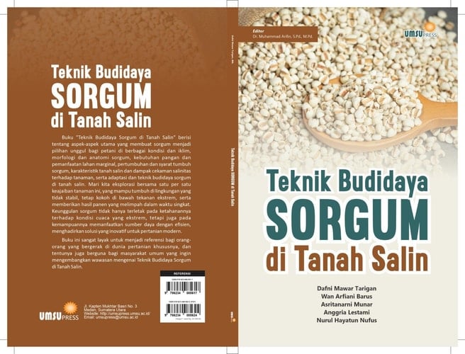 Teknik Budidaya Sorgum di Tanah Salin