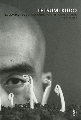 Tetsumi Kudo la montagne que nous cherchons est dans la serre