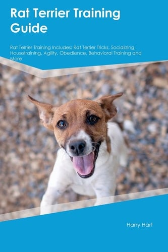 Rat Terrier Training Guide Rat Terrier Training Includes: Rat Terrier Tricks, Socializing, Housetraining, Agility, Obedience, Behavioral Training and More